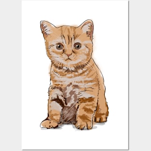 Orange Cat Posters and Art